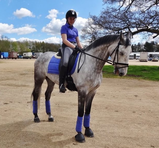blue iris equestrian
