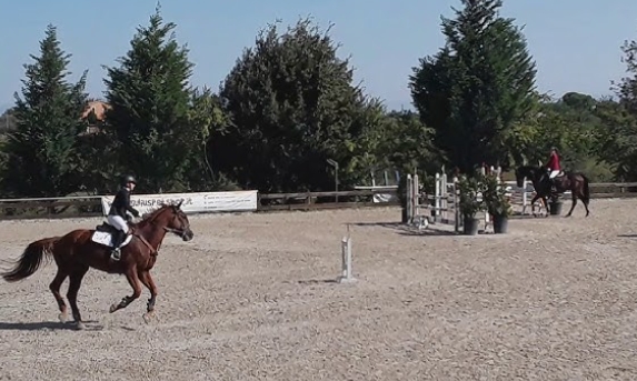cassia equestrian club