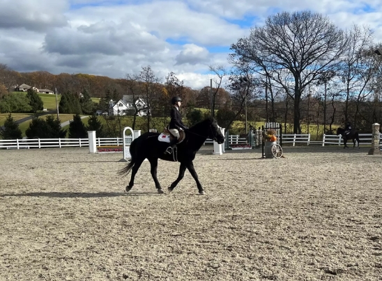 centenary university equestrian center