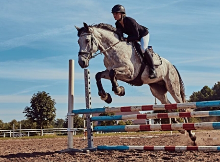 cmg equestrian