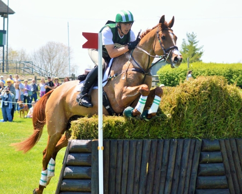 clasing equestrian