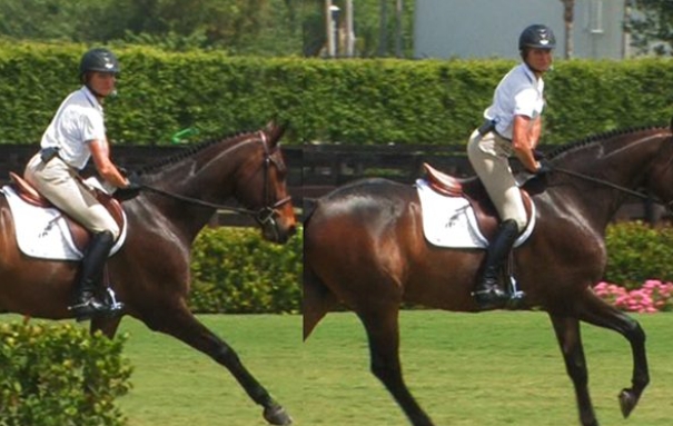 canter equestrian
