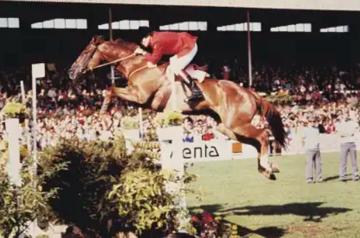 buddy brown equestrian
