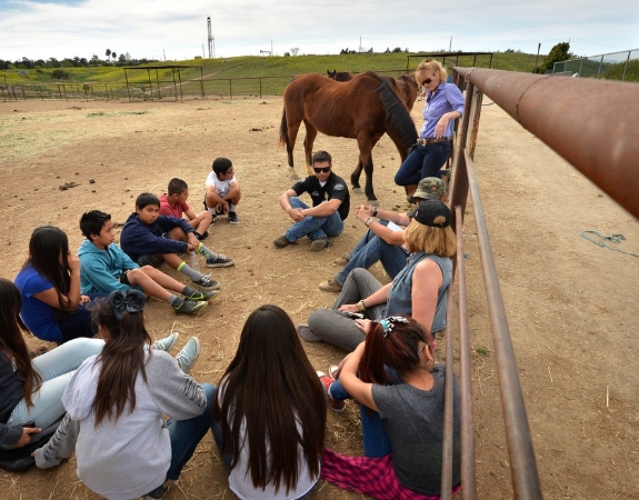 btb equestrian