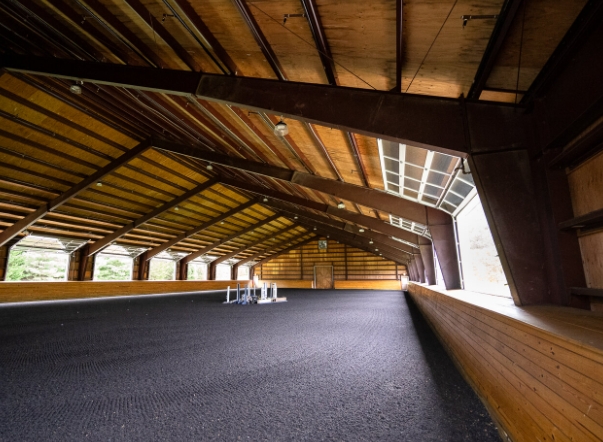 blue star equestrian