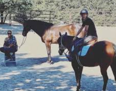 chabot equestrian center