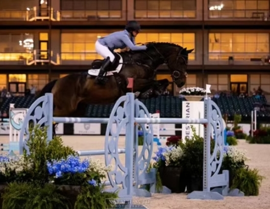 clear round show jumping