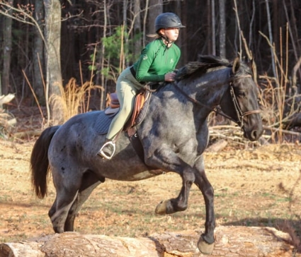cm equestrian