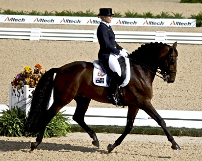 british horse riding