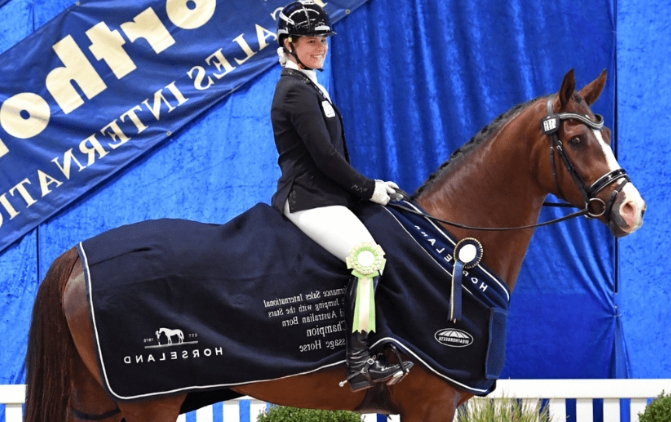 dressage and jumping with the stars