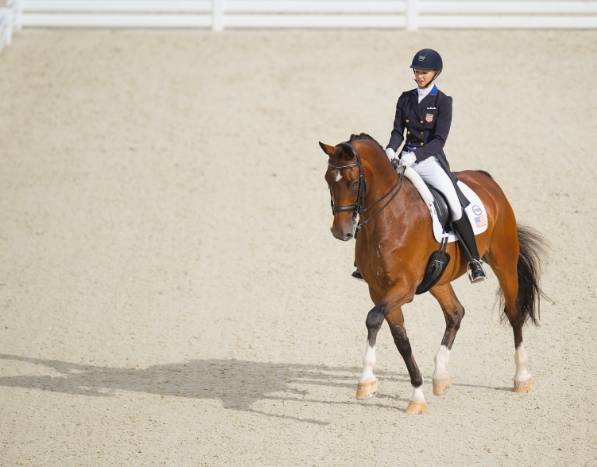 dressage horse riding