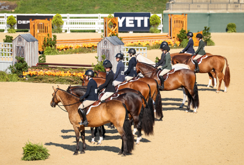 equestrian federation