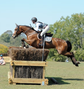 davidson equestrian center