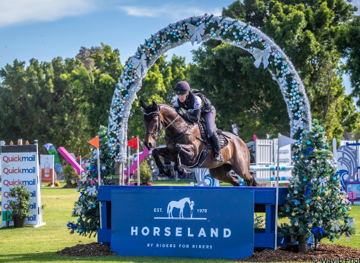 equestrian in the park