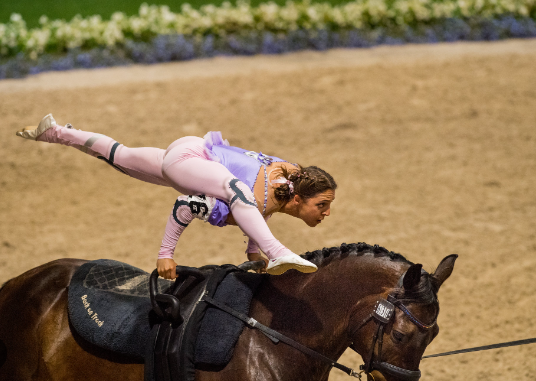 equestrian gymnastics