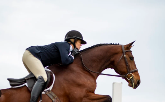 english horseback riding