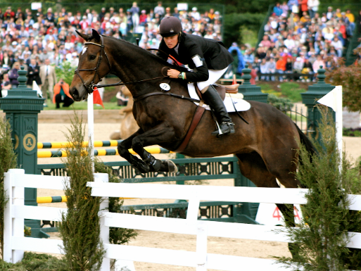 equestrian horse jumping