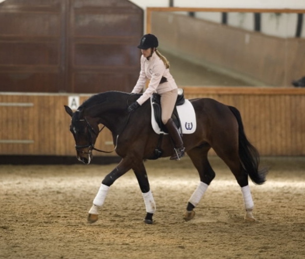 equestrian deutsch