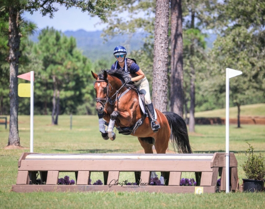 cross country equestrian