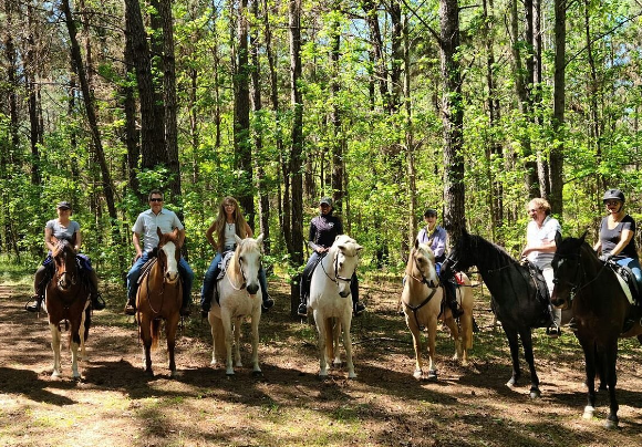 diamond lodge equestrian