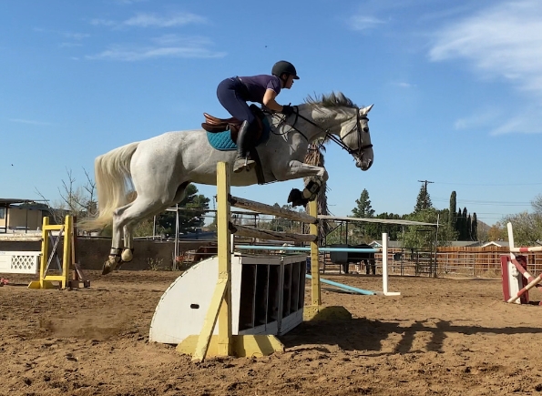 equestrian academy