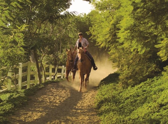 equestrian ca