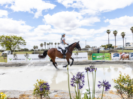 equestrian in the park 2022