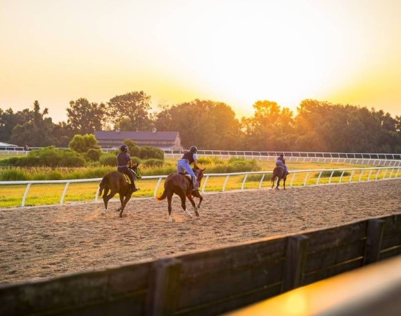 copperfield equestrian