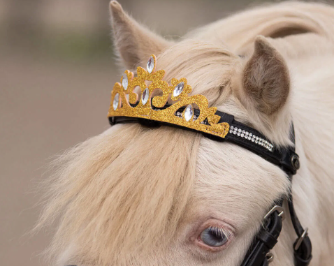 crown equestrian