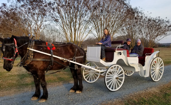 country time equestrian