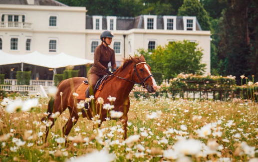 cortworth equestrian