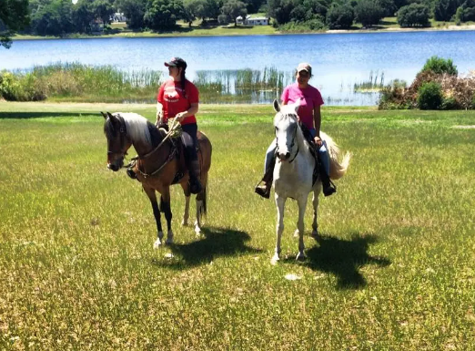 copperstone equestrian center
