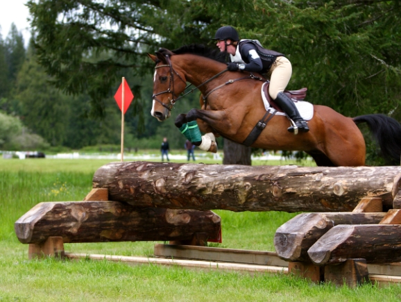cross country equestrian