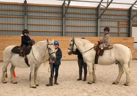 dragonfly equestrian