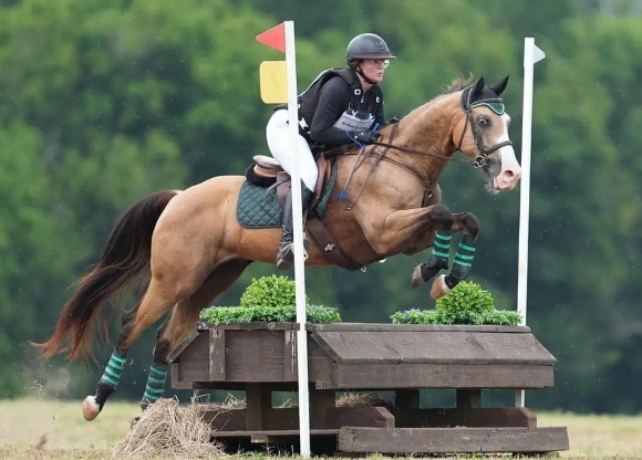 eden equestrian