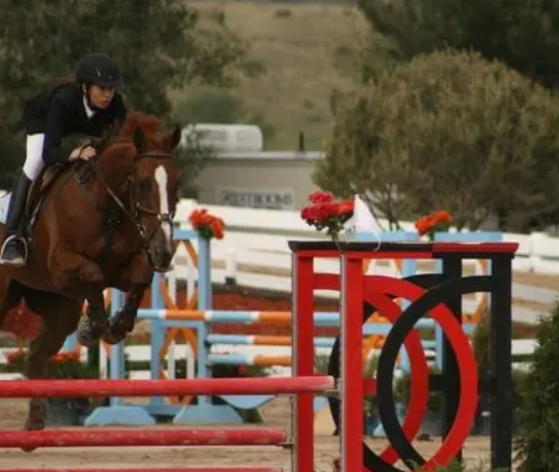 debacs equestrian center