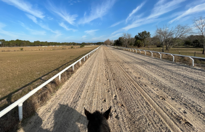 de pasquale equestrian