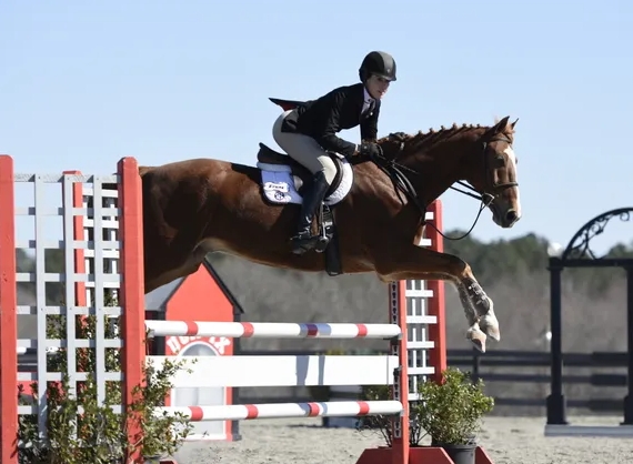 equestrian association
