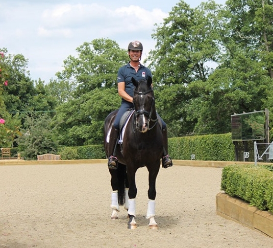 collins equestrian