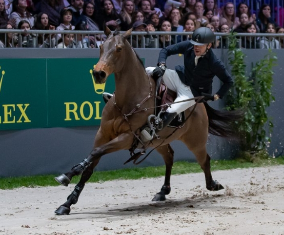 copper hill equestrian center