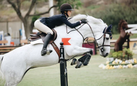 competitive horse riding