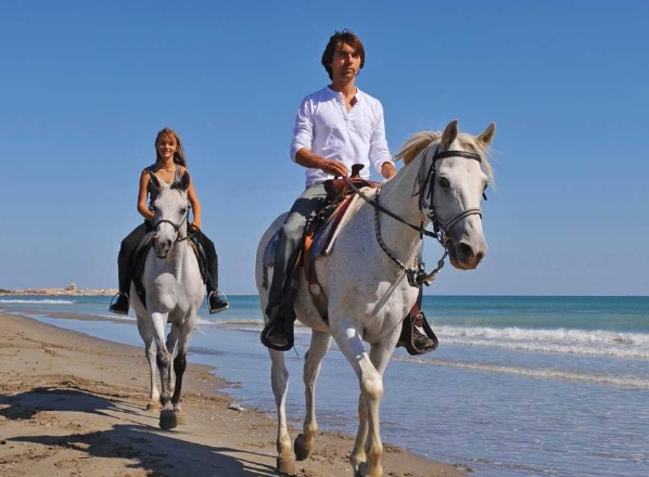 equestrian horseback riding