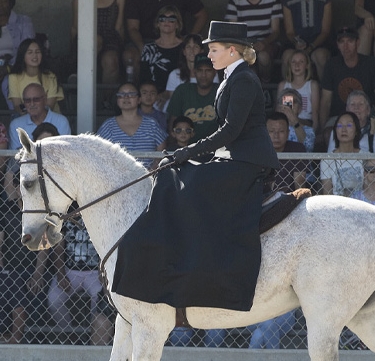 cpp equestrian