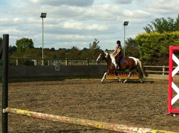 crofton equestrian