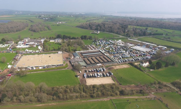 david broom equestrian