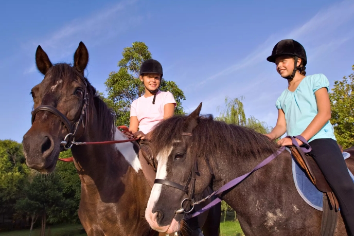 ea equestrian
