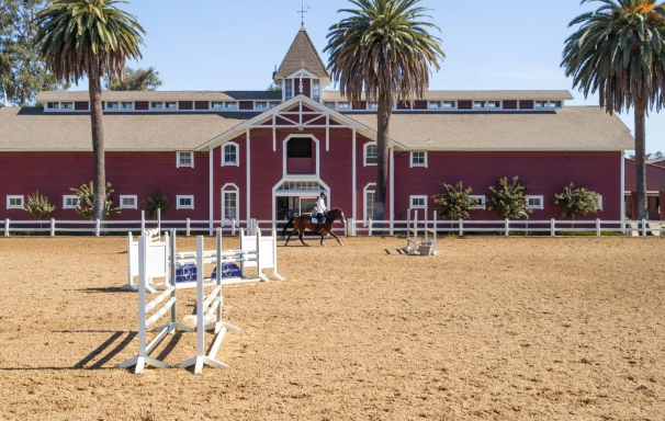 dawson equestrian center