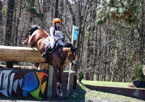 cross country horse riding