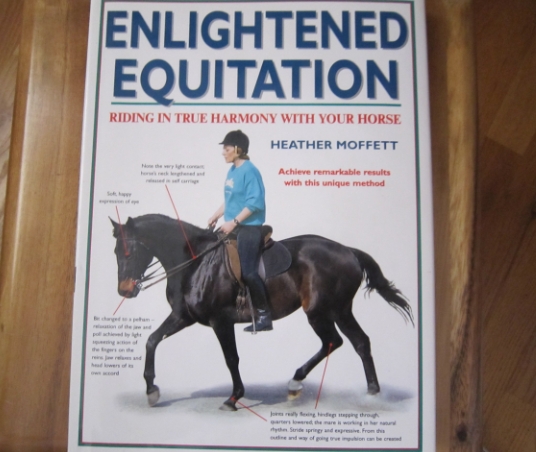 enlightened equitation