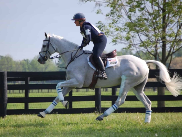 eventing horse riding